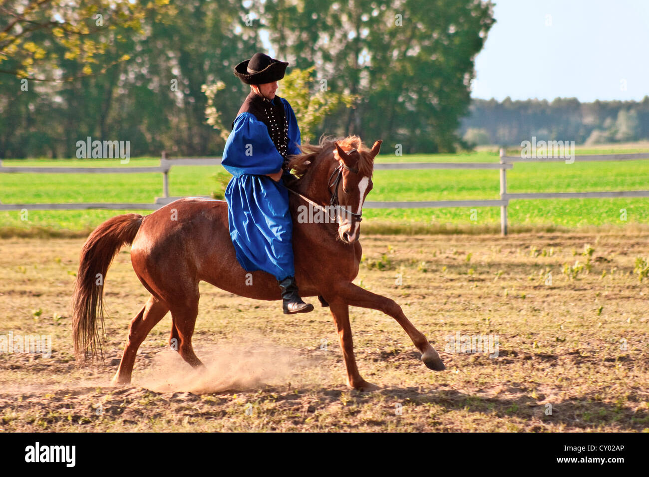 Hungary, Kalocsa, Csikos Hungarian horse rider. Stock Photo