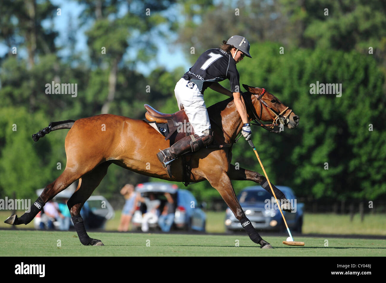 A polo player hitting a ball Stock Photo Alamy