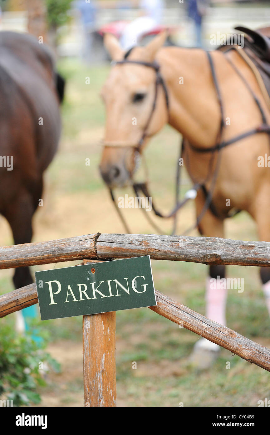 Parking sign, horses at back Stock Photo Alamy
