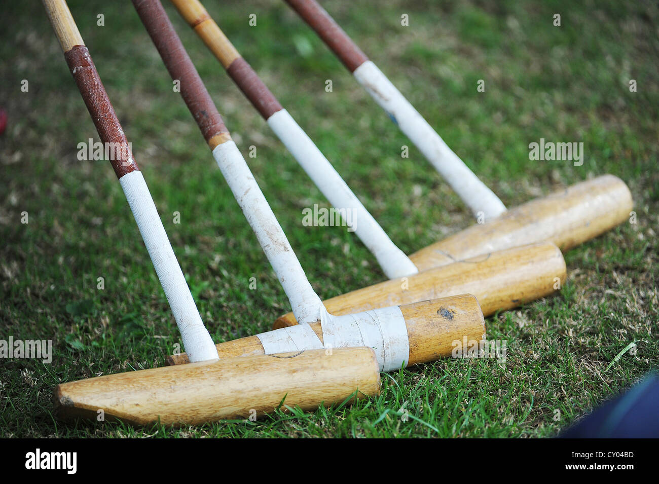 Polo mallets Stock Photo Alamy