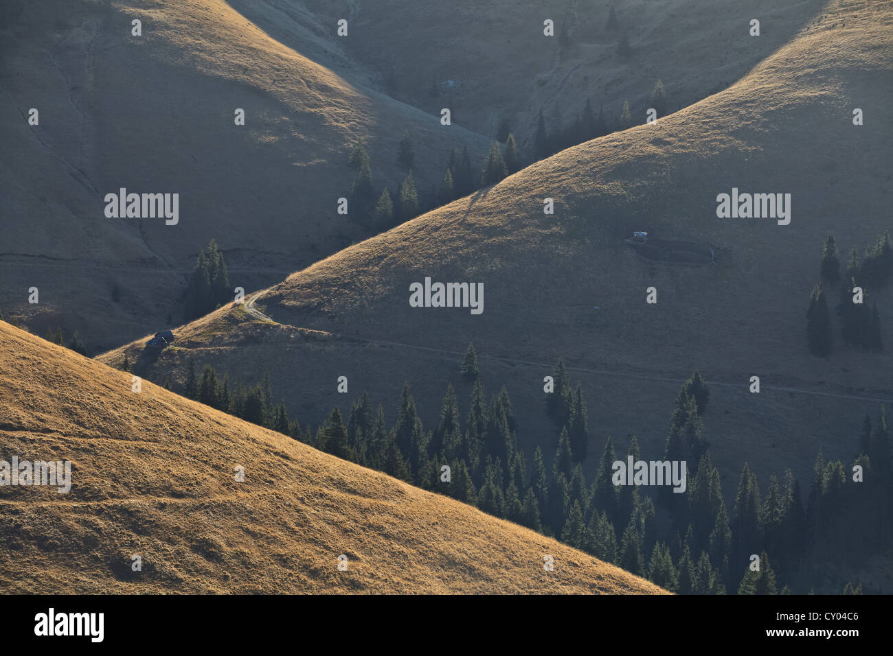 Beauty light hi-res stock photography and images - Alamy