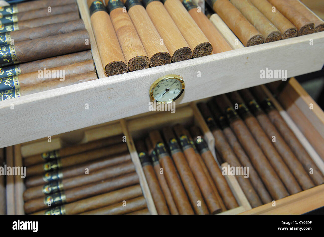 A humidor full of cigars Stock Photo - Alamy