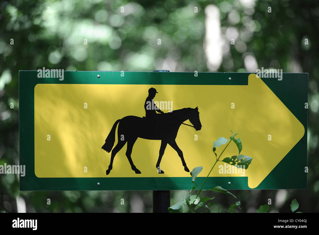 Horse Riding Arena Stock Photos & Horse Riding Arena Stock Images Alamy