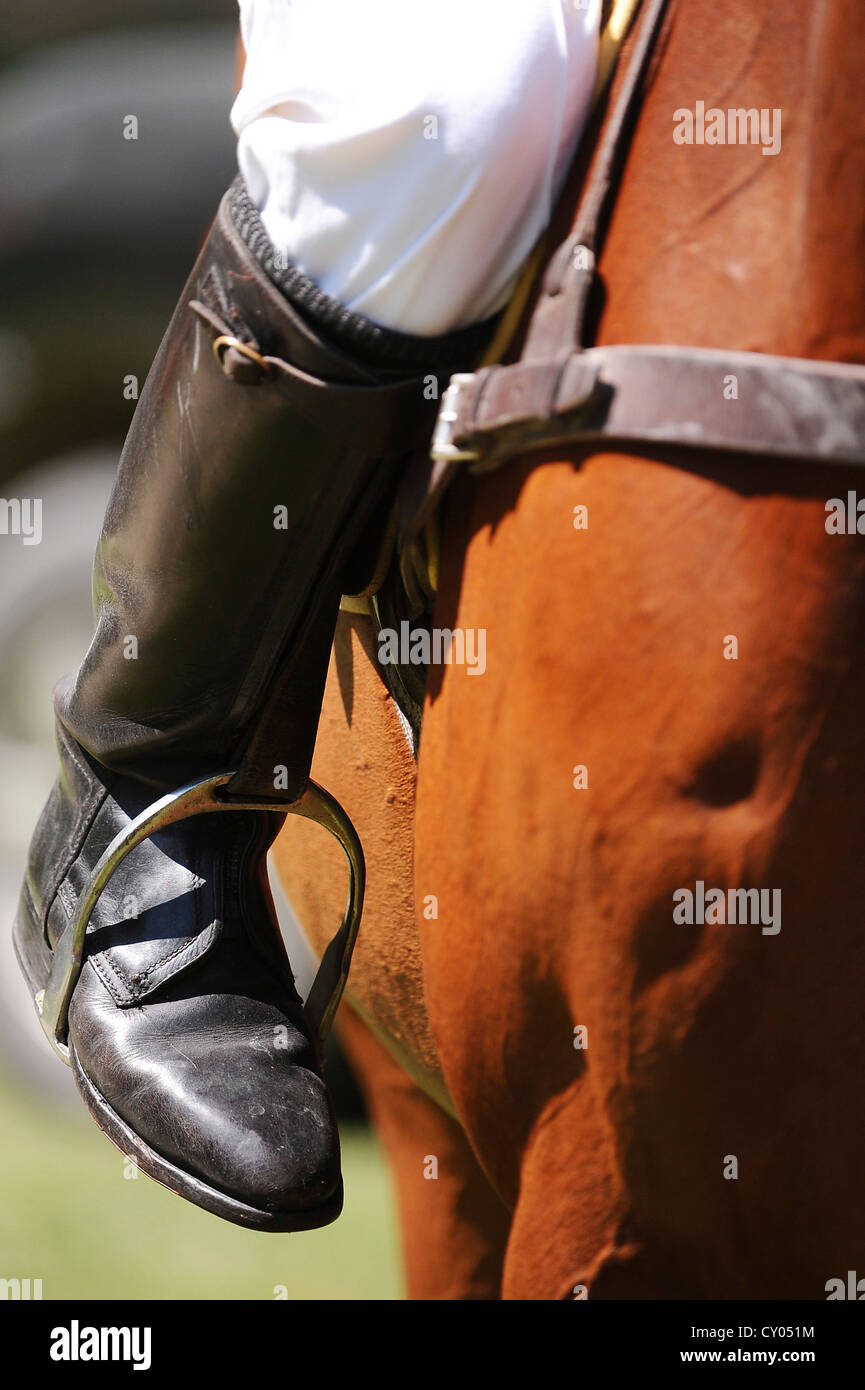 Stirrups hires stock photography and images Alamy