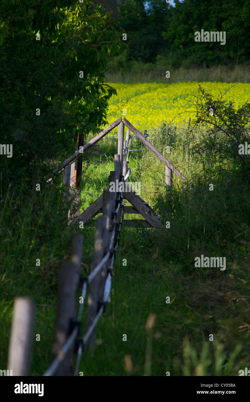 Ladder over fence hires stock photography and images Alamy