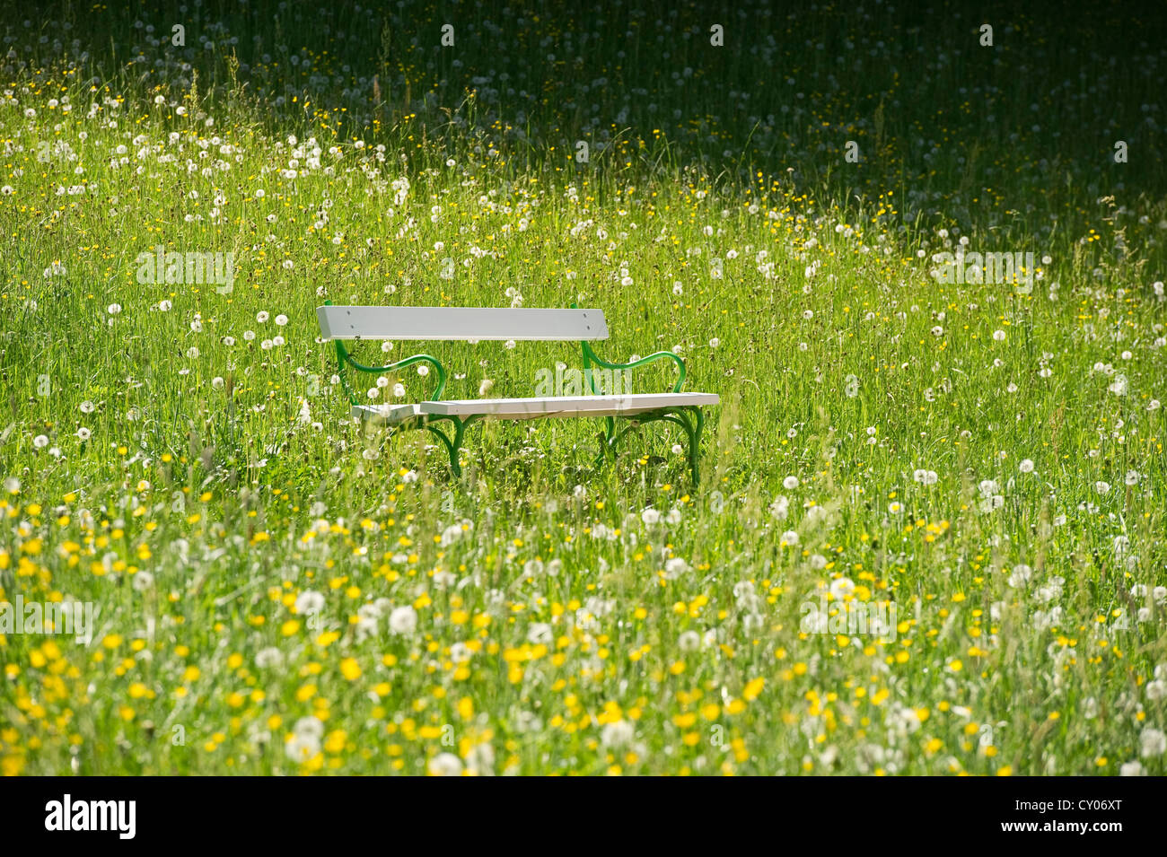 Flower meadow bench hi-res stock photography and images - Alamy