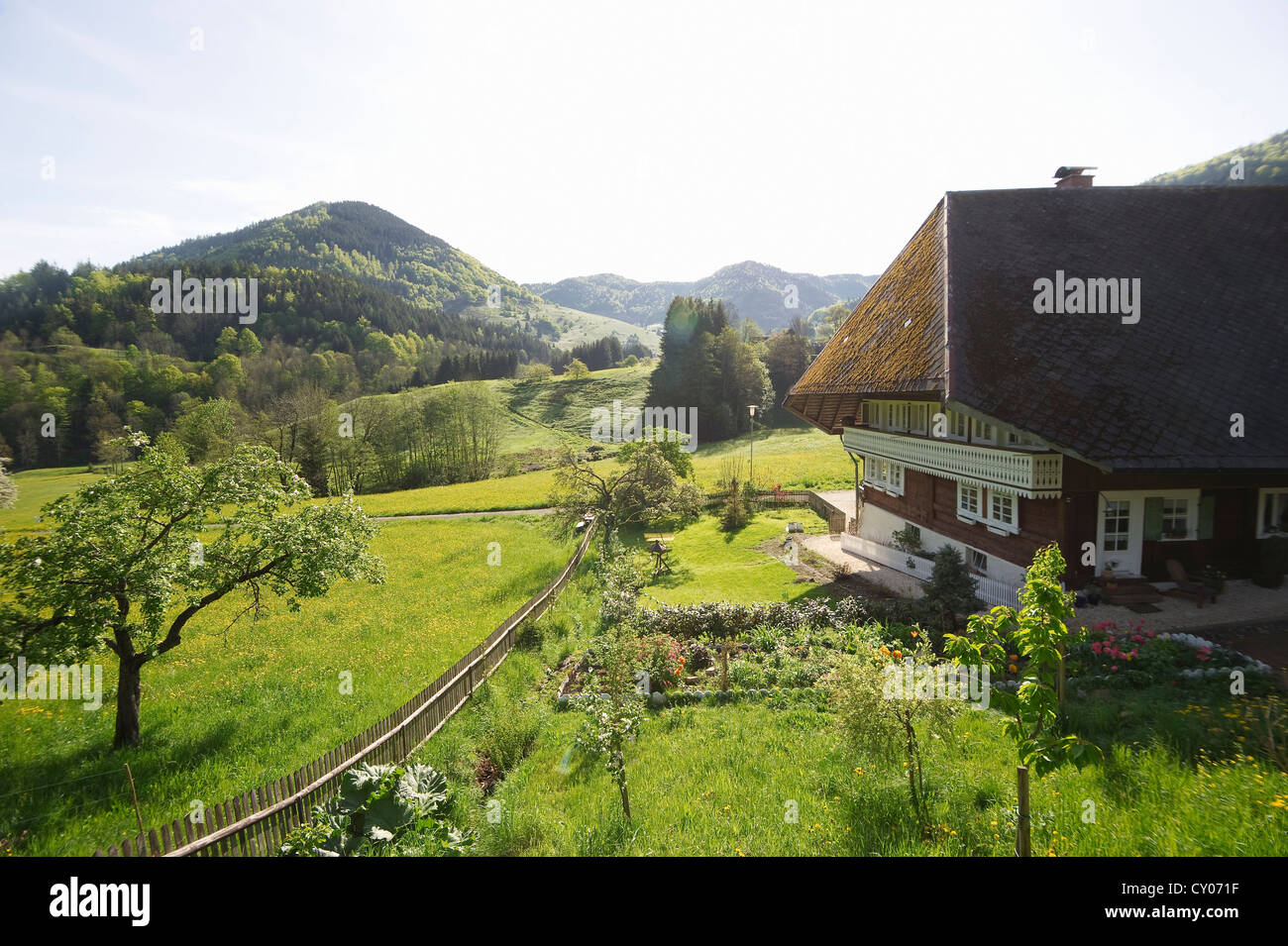 Old Black Forest farmhouse, Praeg near Todtnau, Black Forest, Baden-Wuerttemberg Stock Photo
