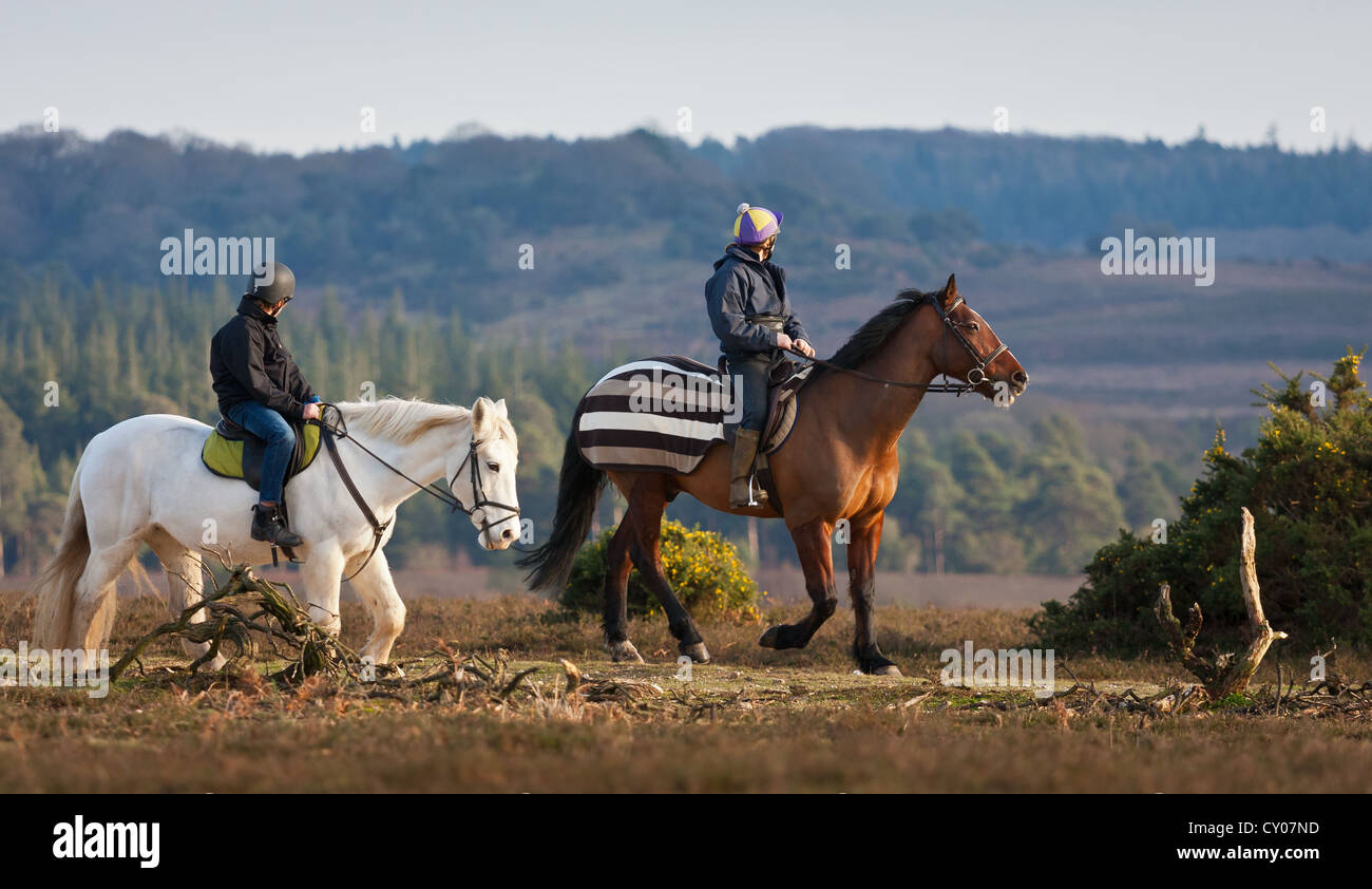Two people are pony trekking on a high track overlooking distant woodland in the New Forest, National Park Stock Photo