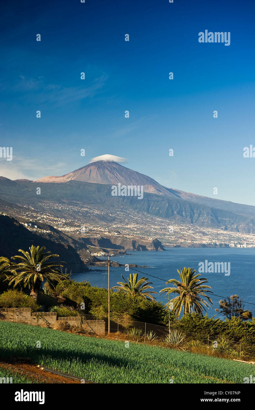 North coast and the summit of Teide Mountain, near Tacoronte, Tenerife, Canary Islands, Spain, Europe Stock Photo