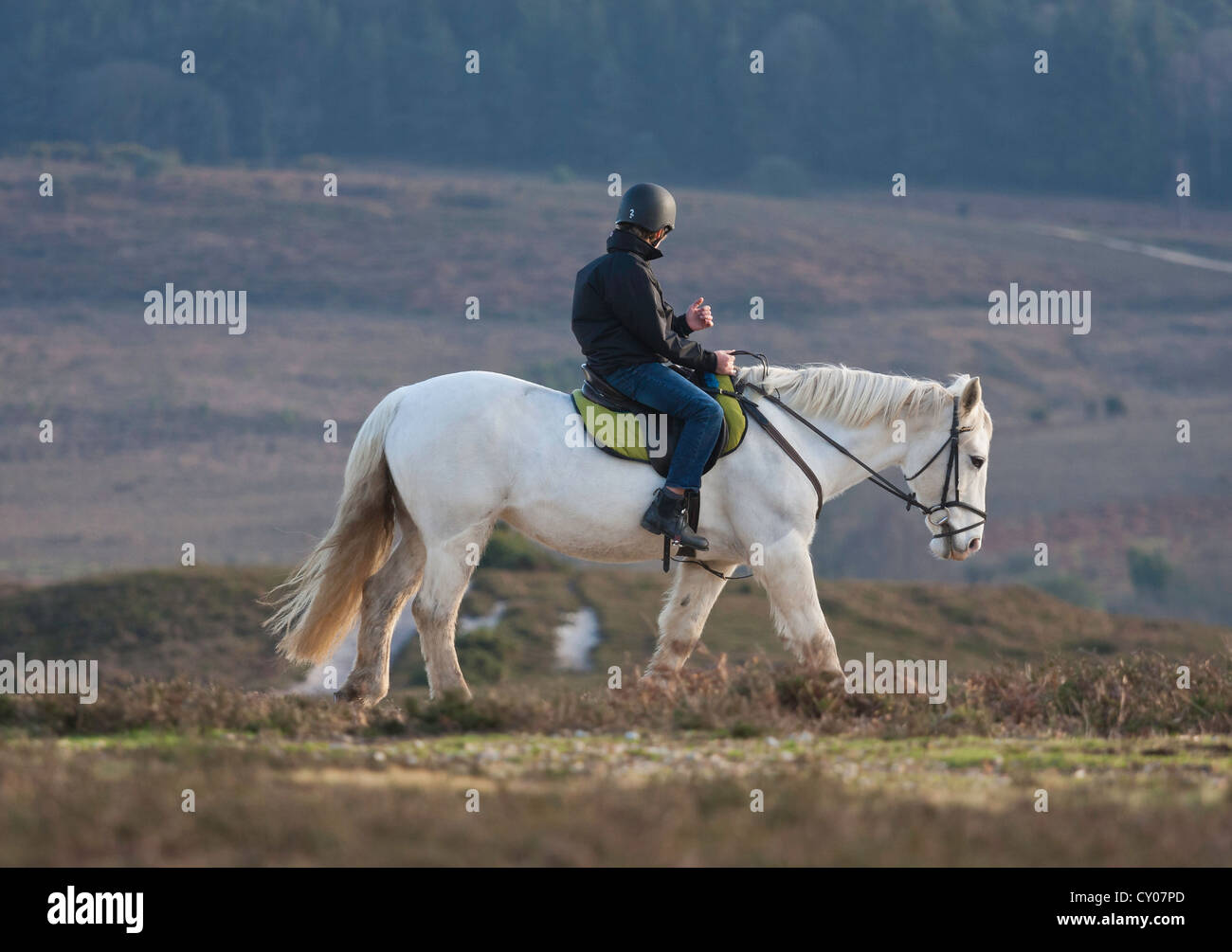 A young person is pony trekking on a high track overlooking distant woodland in the New Forest, National Park Stock Photo