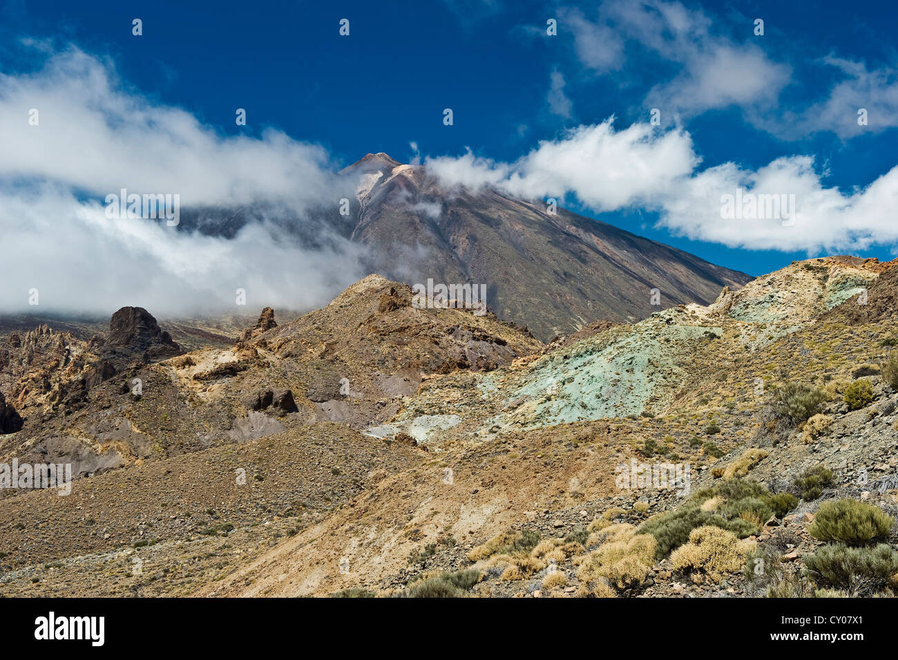 Chio Tenerife High Resolution Stock Photography And Images Alamy