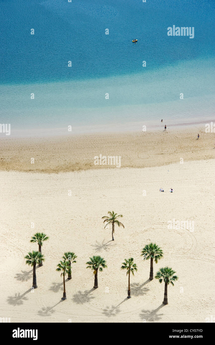 Bird's eye view, palm trees and beach, Playa de las Teresitas, San Andrés, Tenerife, Canary Islands, Spain, Europe Stock Photo