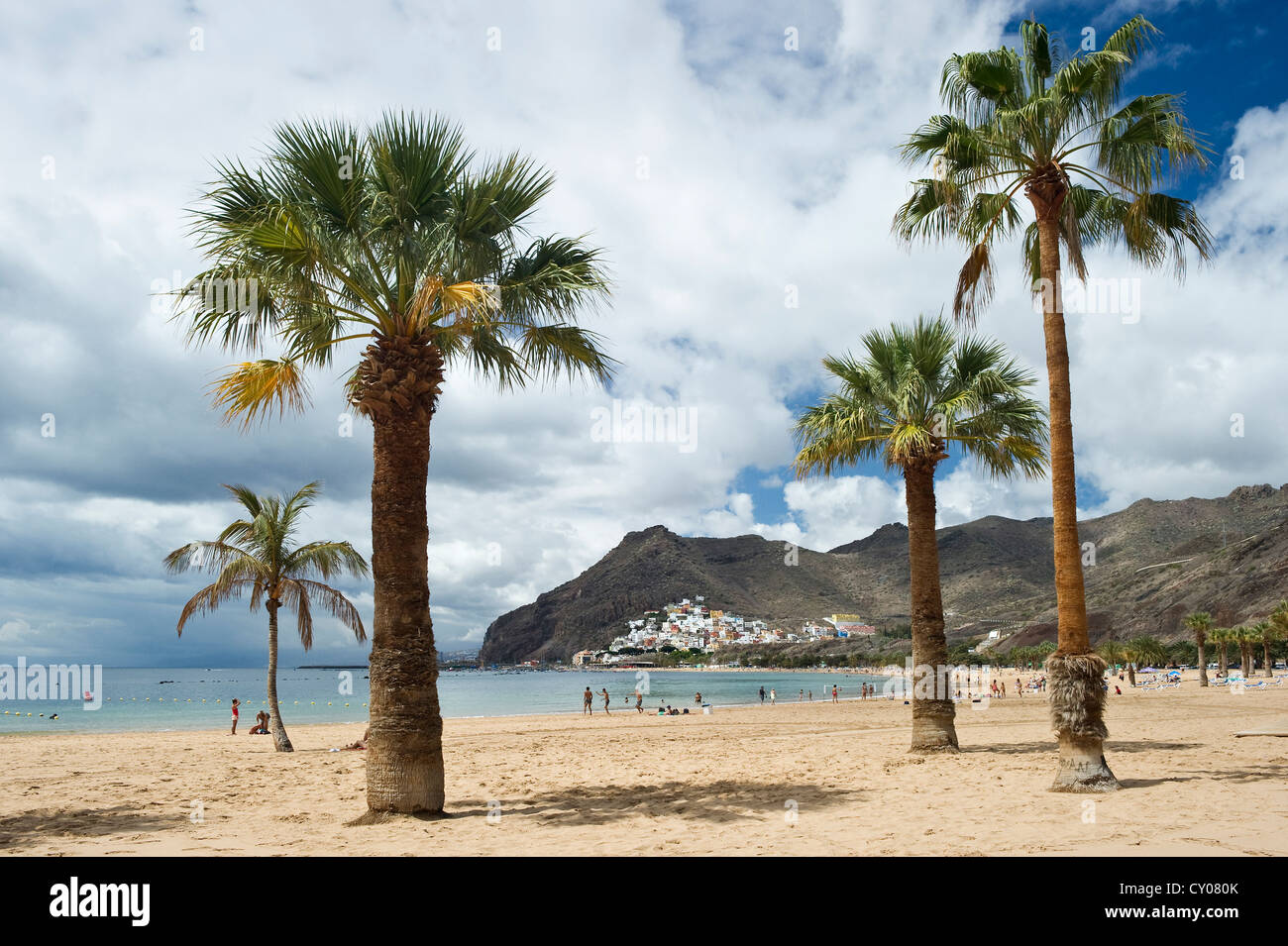 Palm trees and beach, Playa de las Teresitas, San Andrés, Tenerife, Canary Islands, Spain, Europe Stock Photo