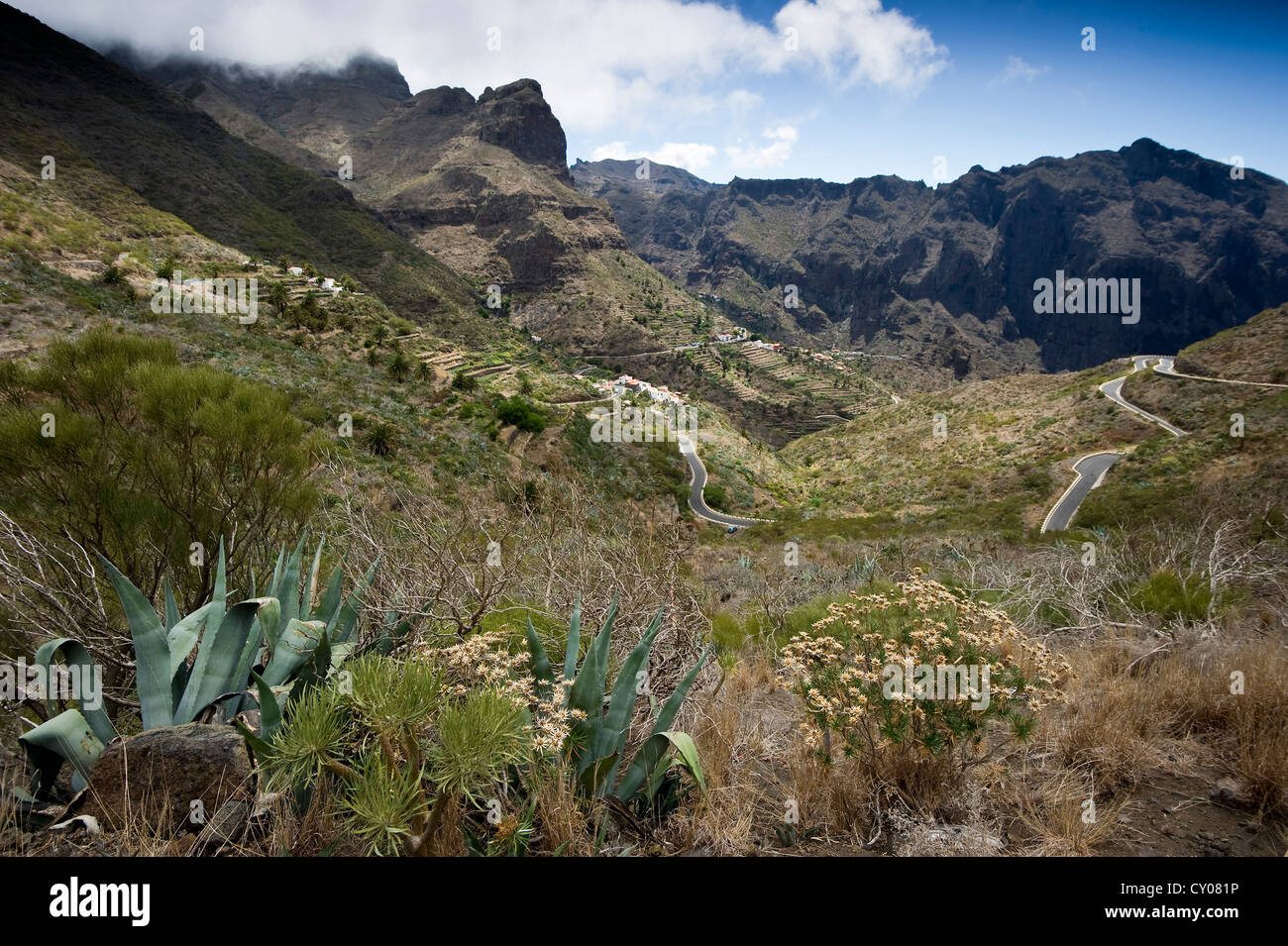 Masca and mountain road, Teno Mountains, Tenerife, Canary Islands, Spain, Europe Stock Photo