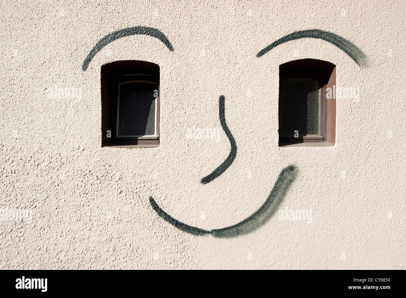 Graffiti, face painted on a facade, Freiburg im Breisgau, Baden-Wuerttemberg Stock Photo