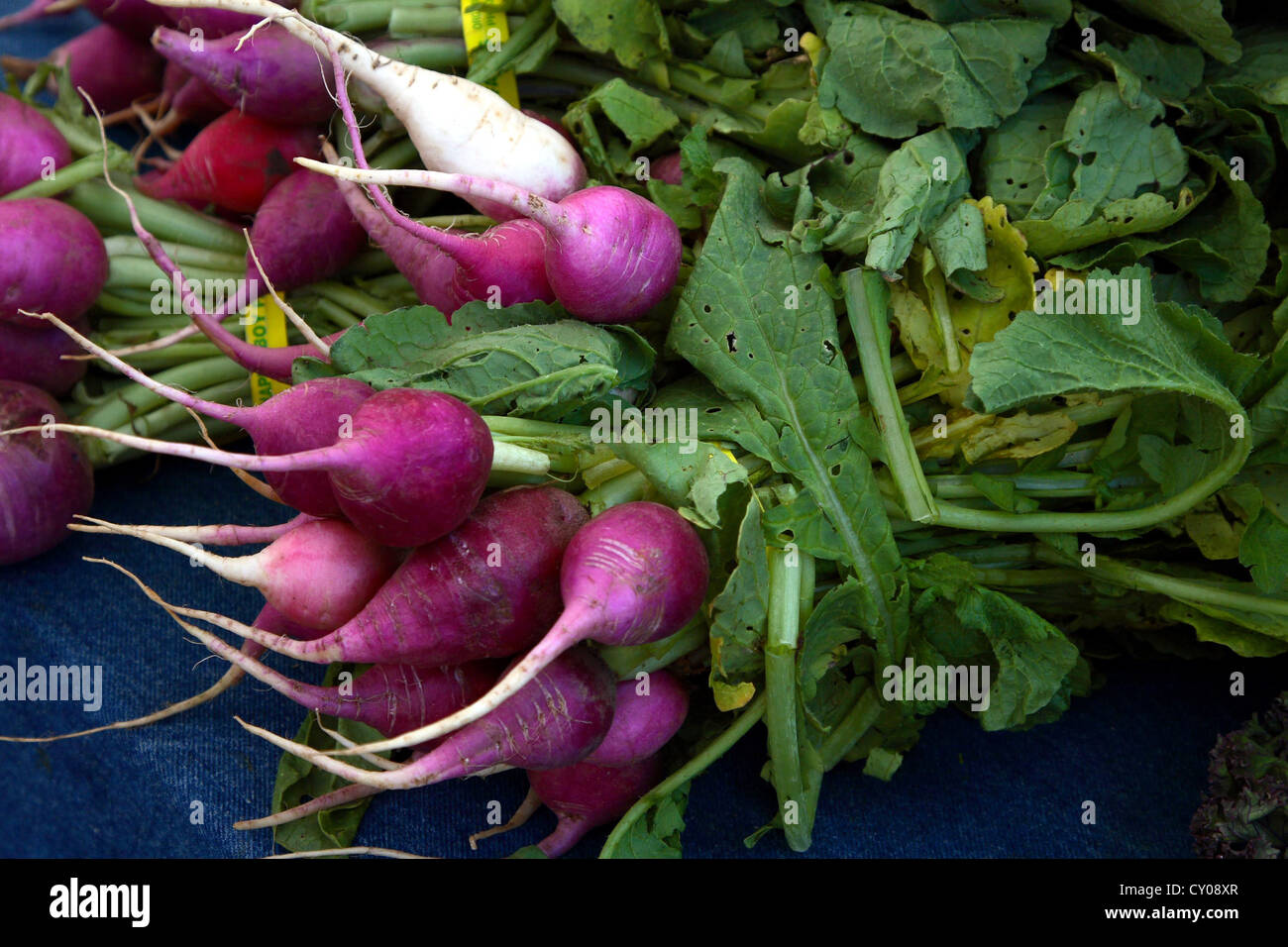 Radishes at the Berkeley Farmers' Market in Berkeley, California. Stock Photo