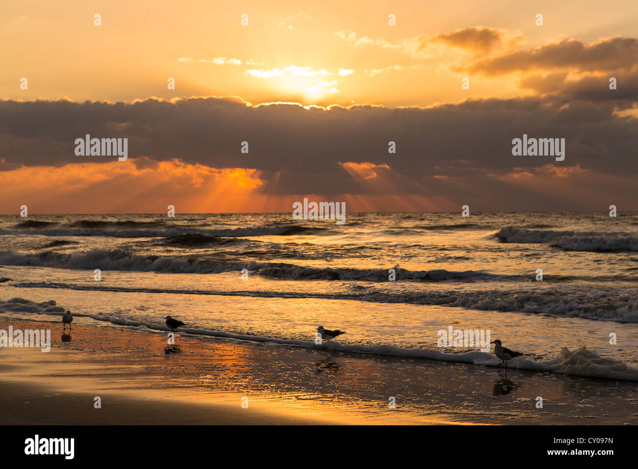 Sunrise at the beach on Hilton Head Island, SC Stock Photo Alamy