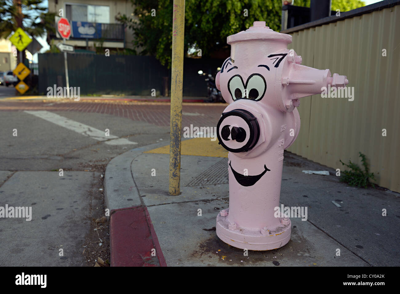 venice california pink hydrant Stock Photo