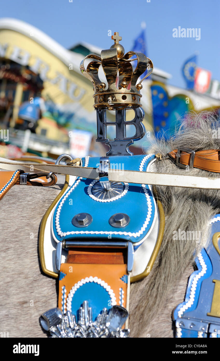 Harness, Hofbraeu brewery, Hofbraeuhaus, Oktoberfest, Munich, Bavaria Stock Photo