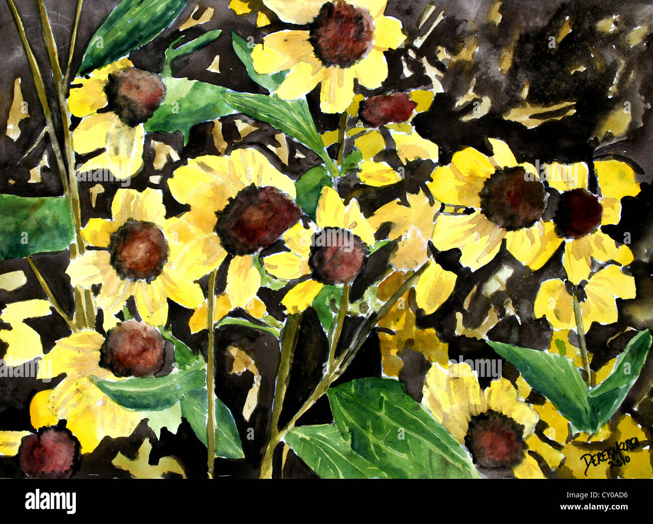 blackeyed susans flower watercolor painting Stock Photo