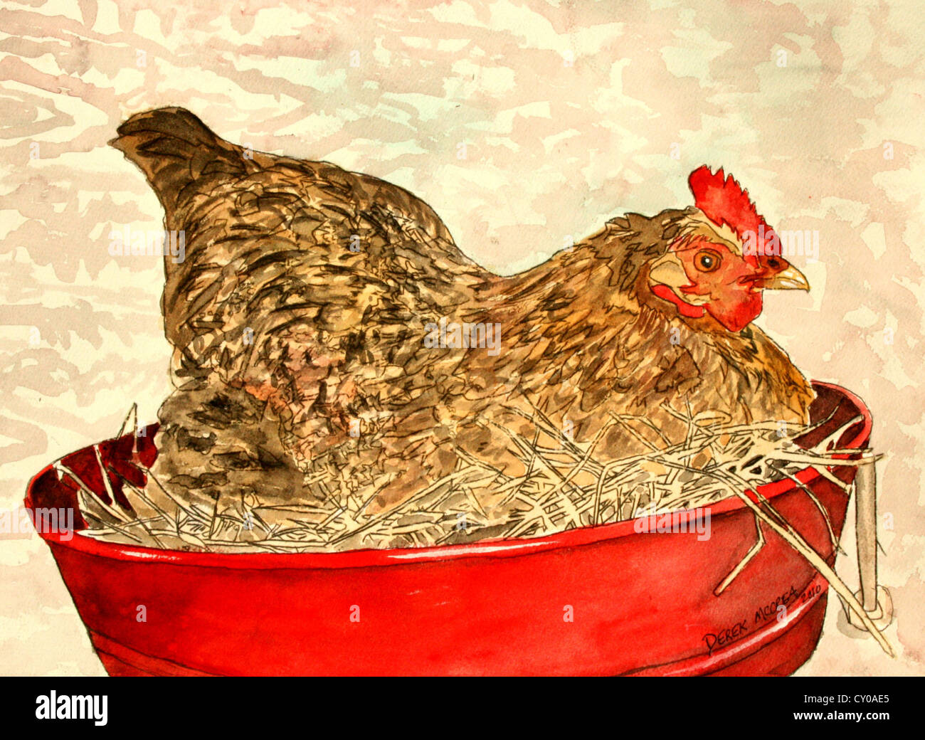 farm animal chicken hen painting illustration Stock Photo