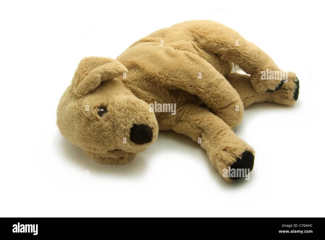 A Stuffed brown dog isolated on white background Stock Photo Alamy