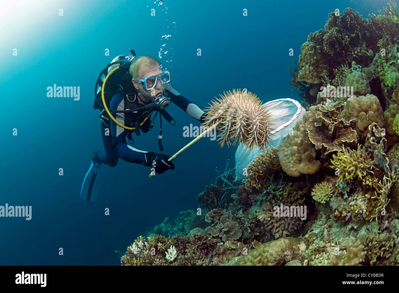 Entire Reef High Resolution Stock Photography and Images - Alamy