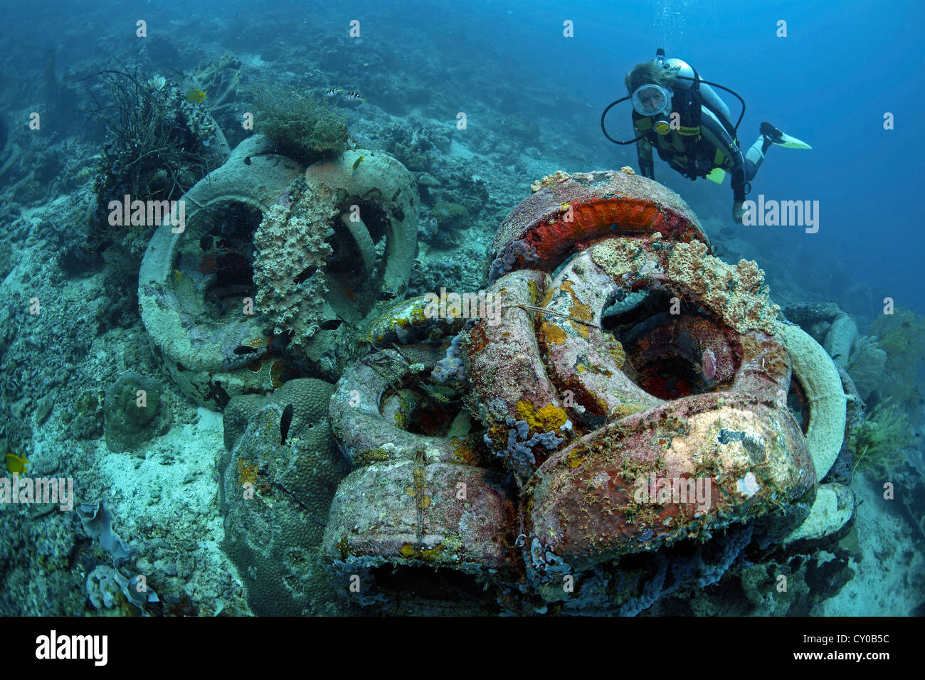 Artificial reefs Artificial reefs