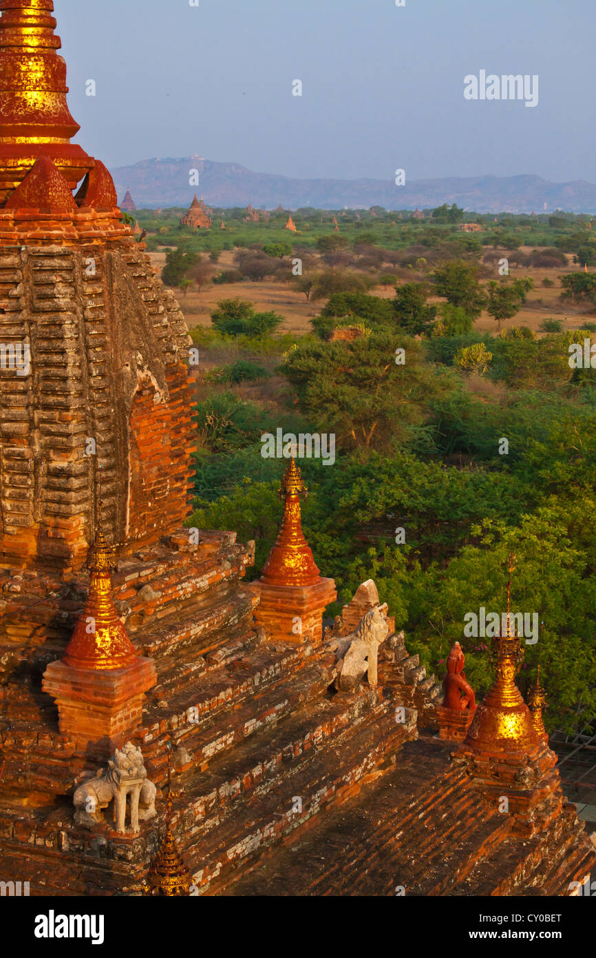 View of the plains of BAGAN from the DHAMMAYAZIKA PAGODA completed in 1196 AD by Narapatisithu - BAGAN, MYANMAR Stock Photo