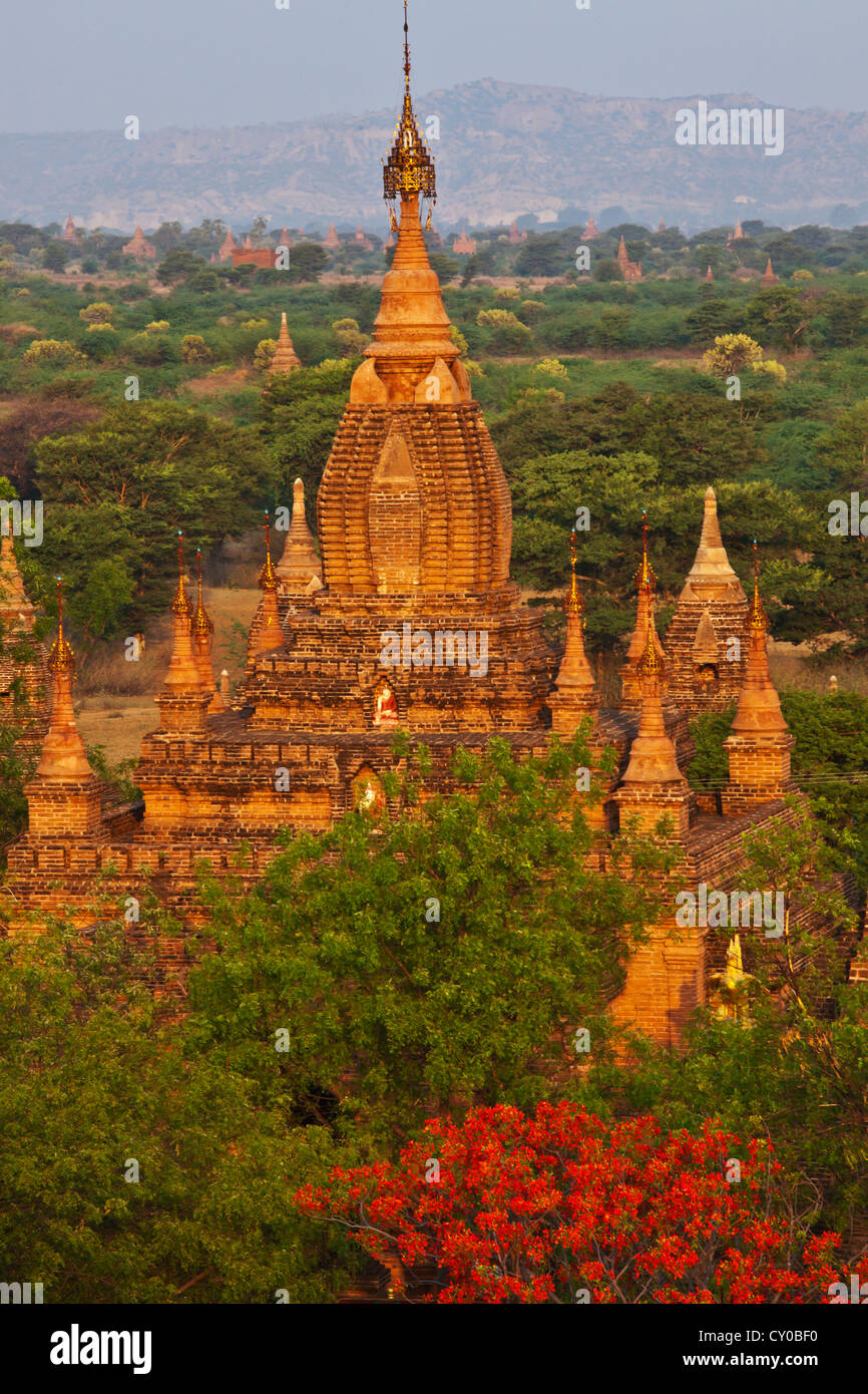 View of the KUTHA TEMPLE from the DHAMMAYAZIKA PAGODA completed in 1196 AD by Narapatisithu - BAGAN, MYANMAR Stock Photo