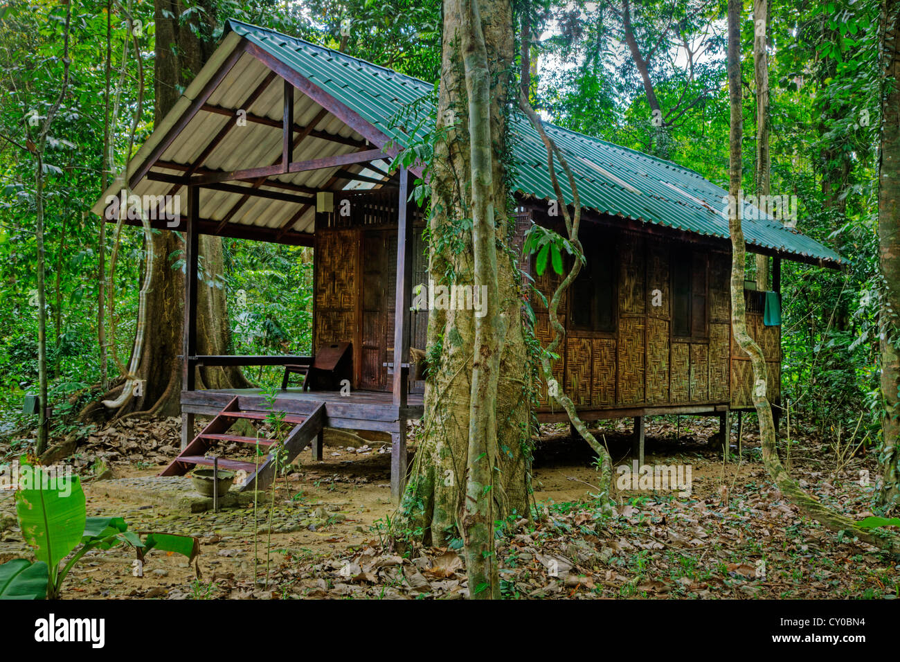 One of the charming cabins at OUR JUNGLE HOUSEa lodge near KHAO SOK NATIONAL PARK - SURATHANI PROVENCE, THAILAND Stock Photo