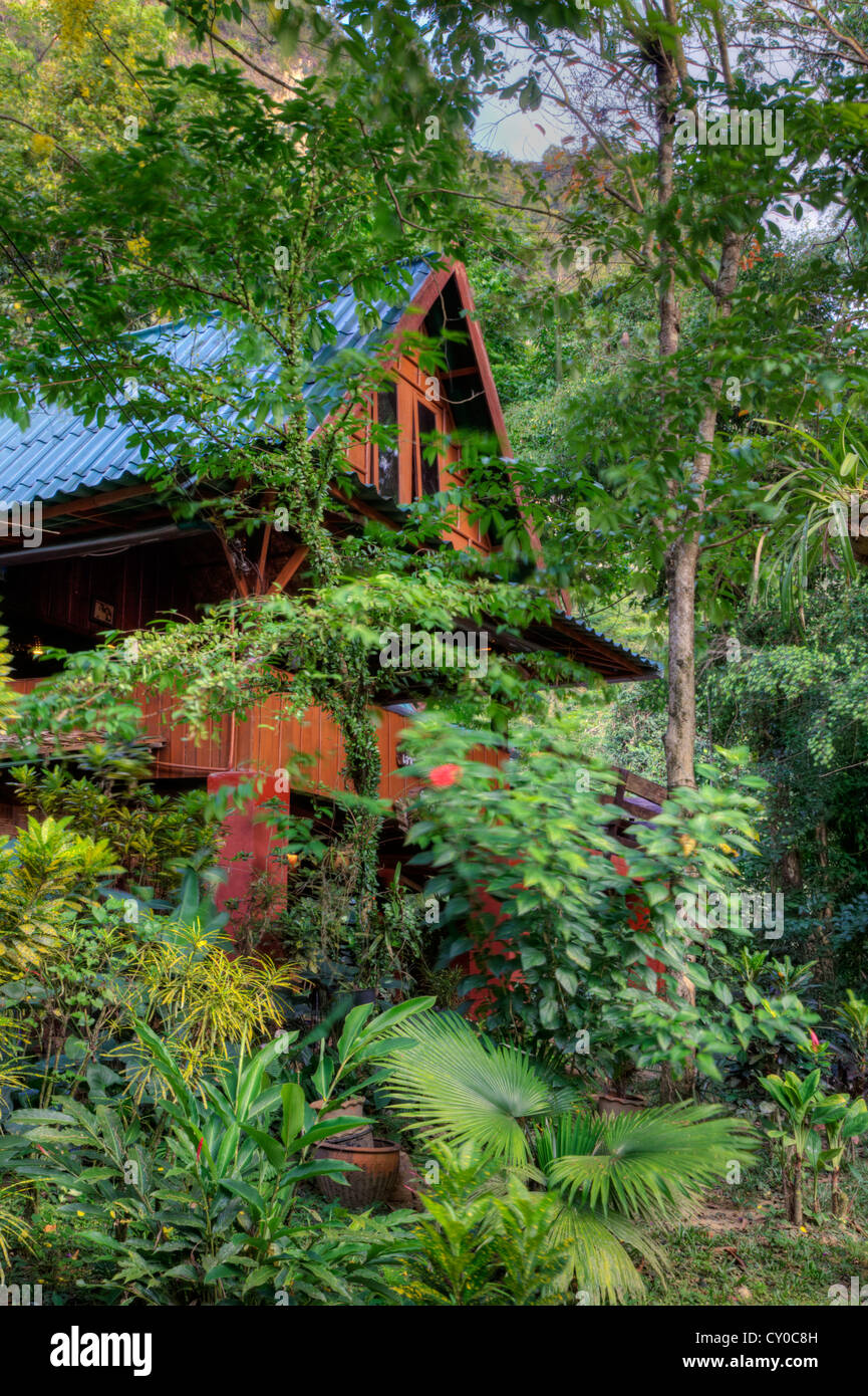The main LODGE at OUR JUNGLE HOUSE nestled in the rainforest near KHAO SOK NATIONAL PARK - SURATHANI PROVENCE, THAILAND Stock Photo