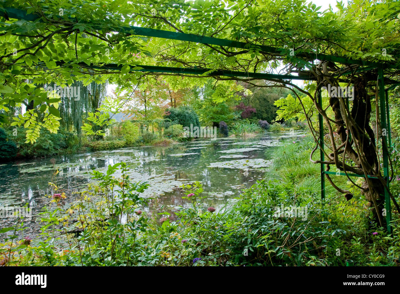 Claude garden and pond in Giverny France Stock Photo Alamy