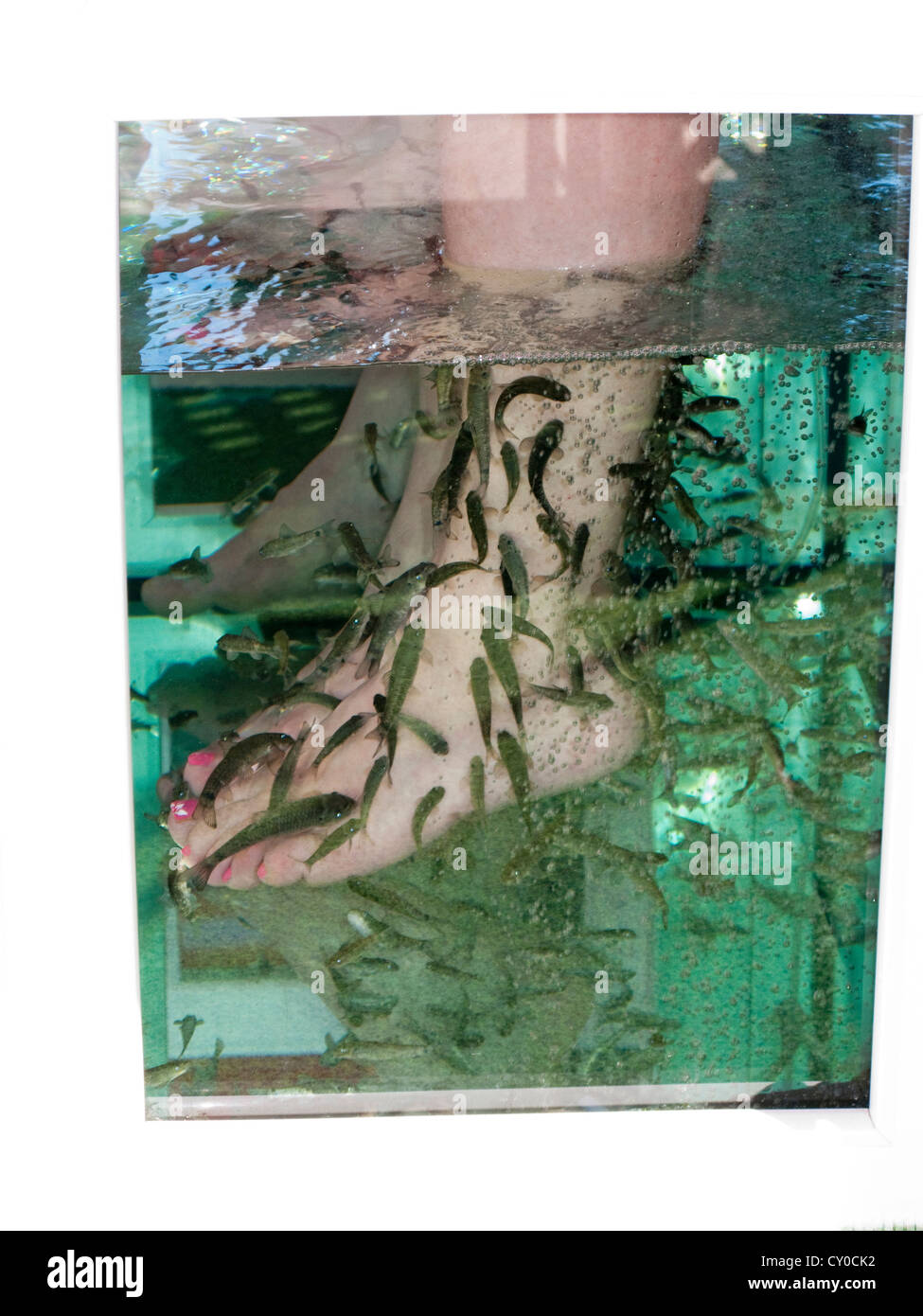 Fish Foot Treatment High Resolution Stock Photography and Images Alamy