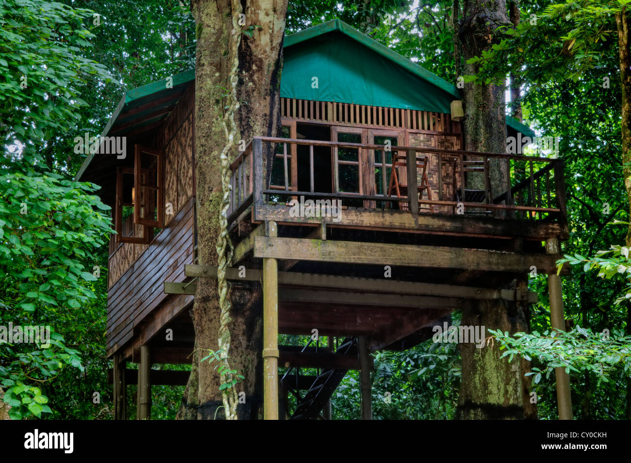 TREE HOUSES are the specialty of OUR JUNGLE HOUSE KHAO SOK NATIONAL PARK - SURATHANI PROVENCE, THAILAND Stock Photo