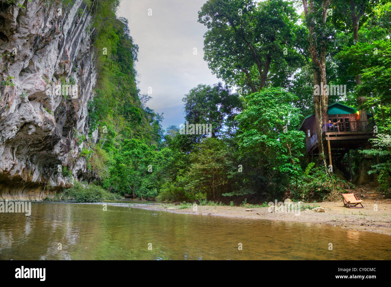 TREE HOUSES are the specialty of OUR JUNGLE HOUSE KHAO SOK ...