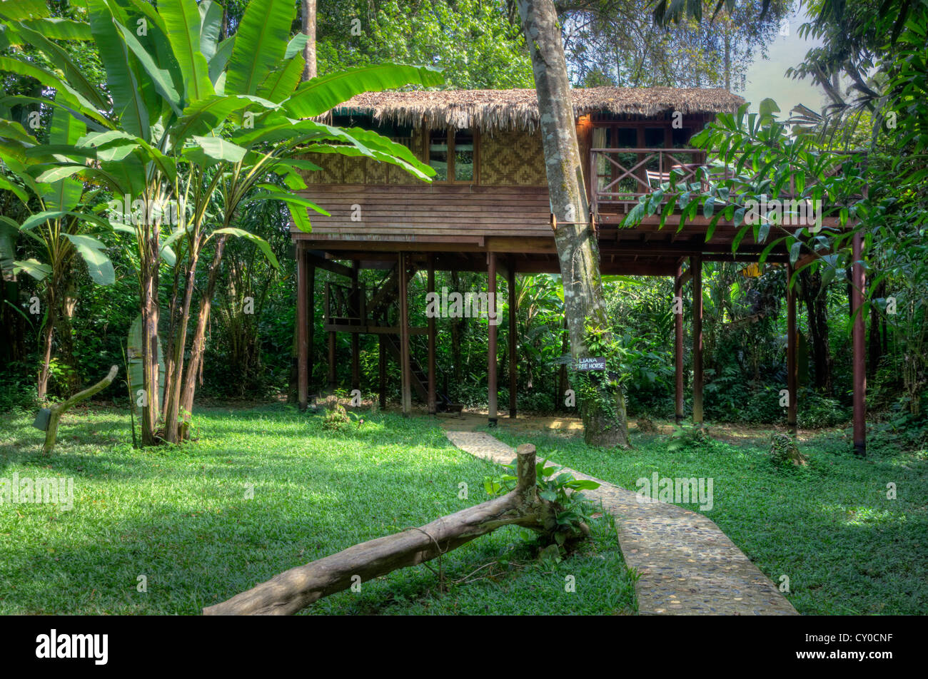 TREE HOUSES are the specialty of OUR JUNGLE HOUSE KHAO SOK NATIONAL PARK - SURATHANI PROVENCE, THAILAND Stock Photo