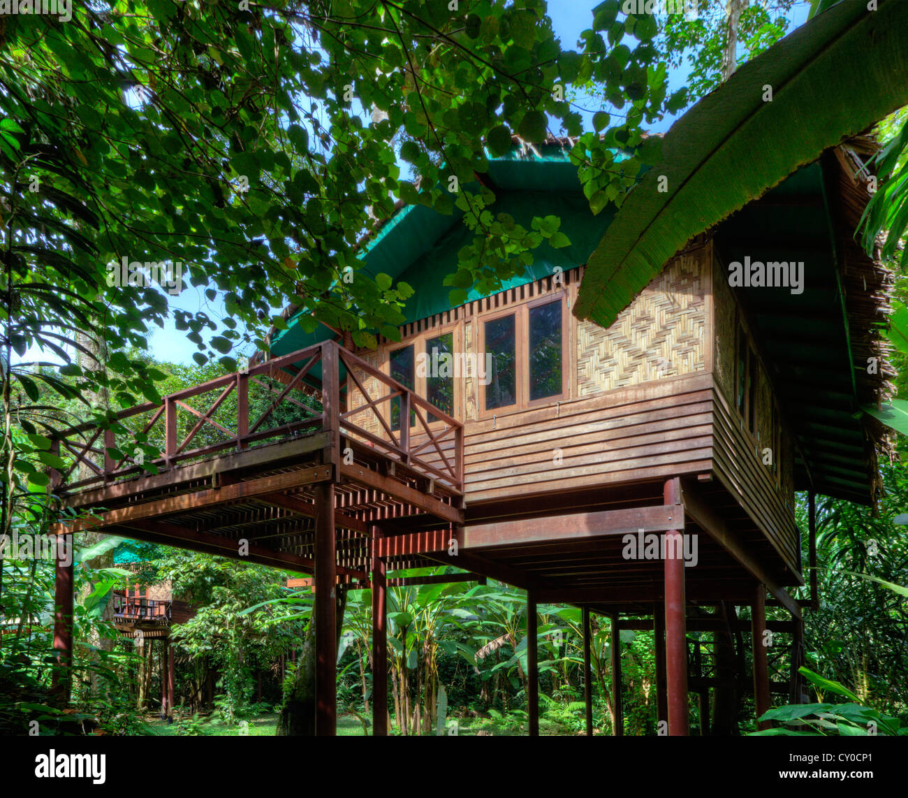 TREE HOUSES are the specialty of OUR JUNGLE HOUSE KHAO SOK NATIONAL PARK - SURATHANI PROVENCE, THAILAND Stock Photo