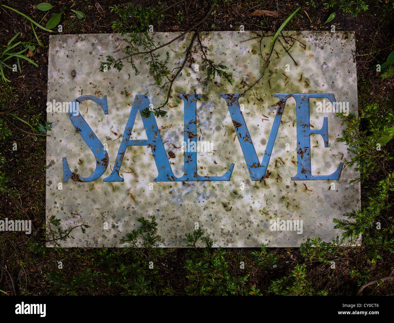 Old grave plate inscribed with Salve at the Historical Cemetery in Weimar, Thuringia Stock Photo