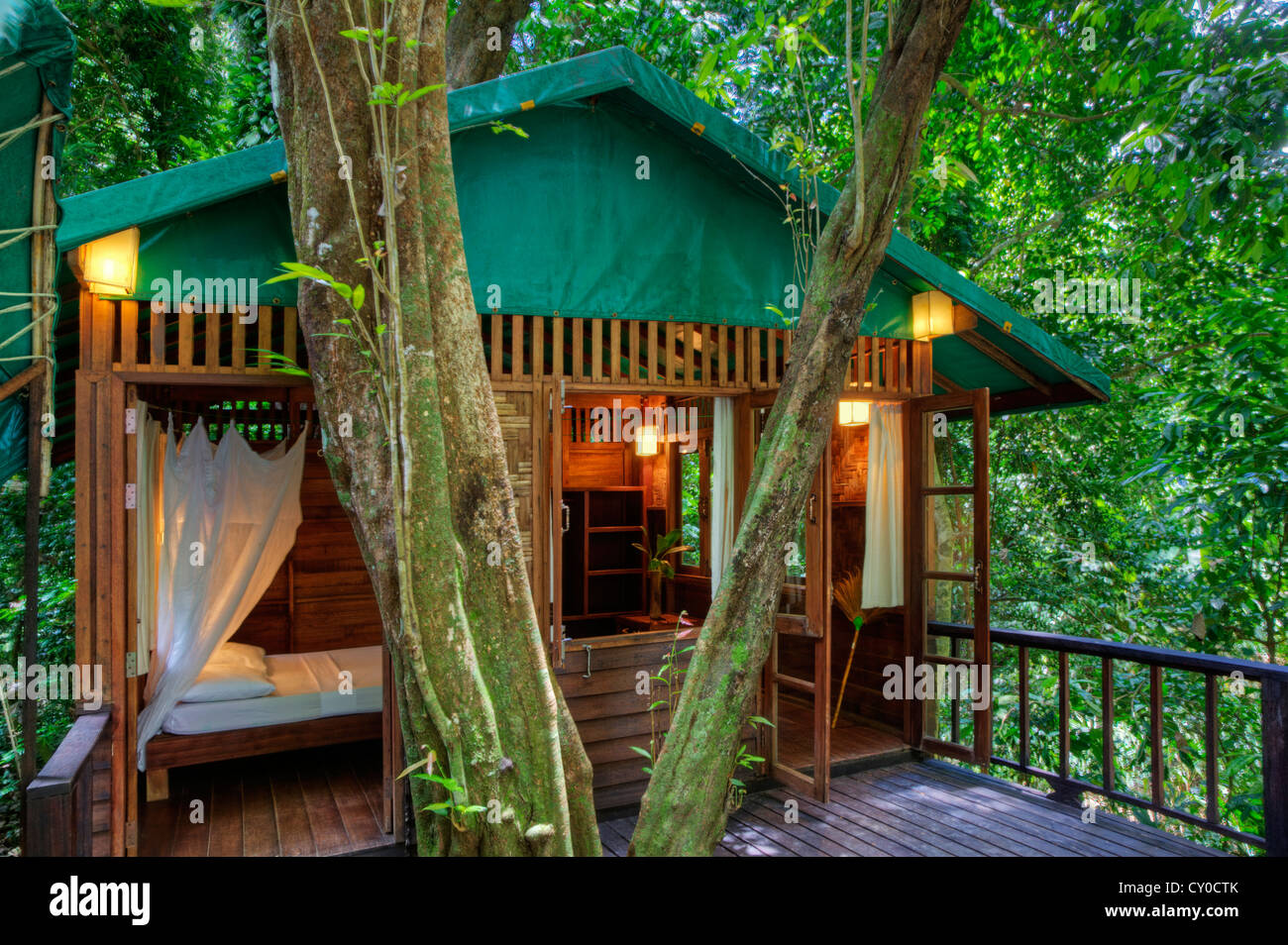 TREE HOUSES are the specialty of OUR JUNGLE HOUSE a lodge near ...