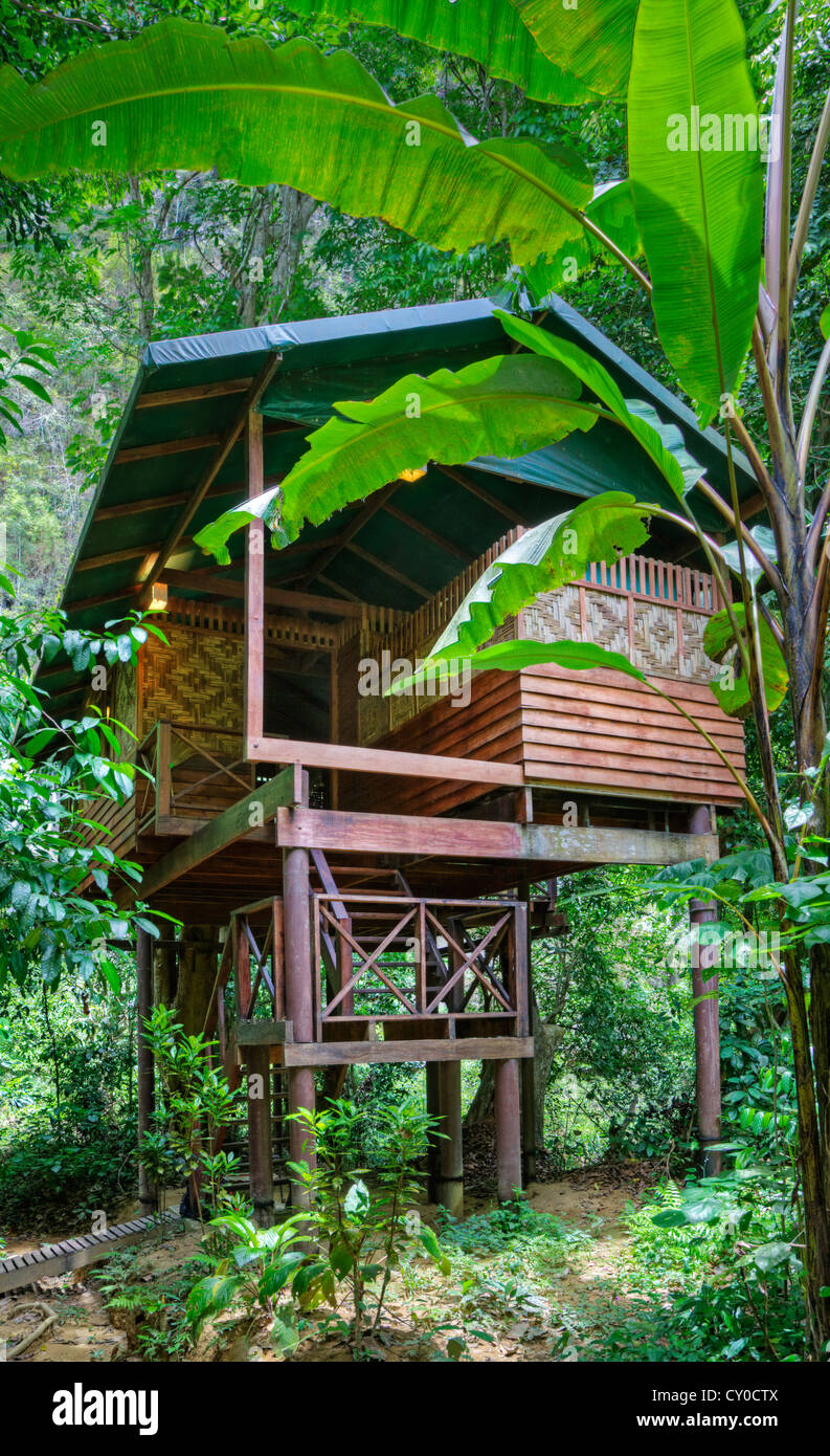 TREE HOUSES are the specialty of OUR JUNGLE HOUSE a lodge near KHAO SOK NATIONAL PARK - SURATHANI PROVENCE, THAILAND Stock Photo
