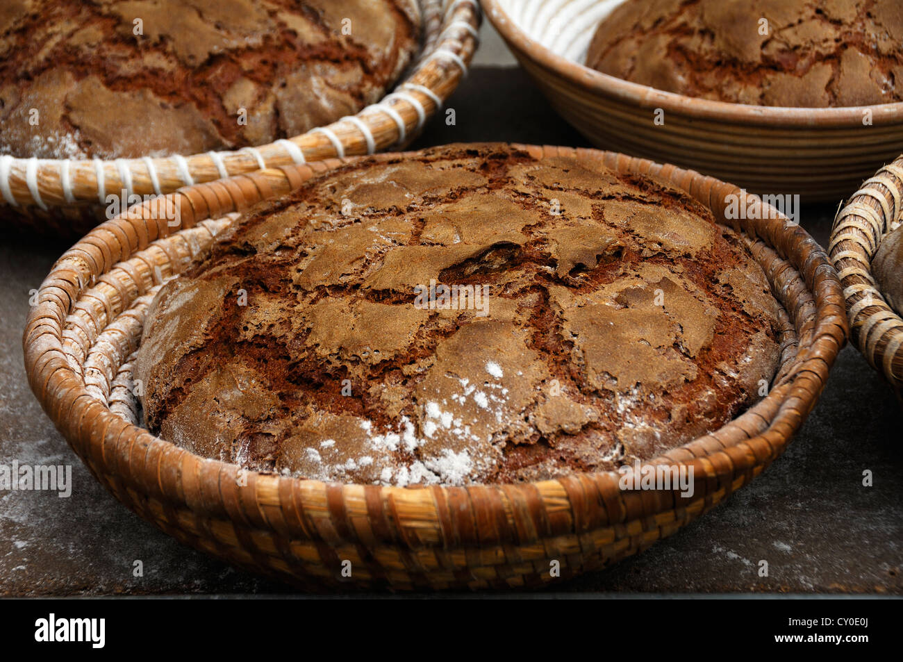 Oven-fresh, three-pound farmhouse bread, loaves, in bread baskets on a baking tray, Wildenfels, Upper Franconia, Bavaria Stock Photo
