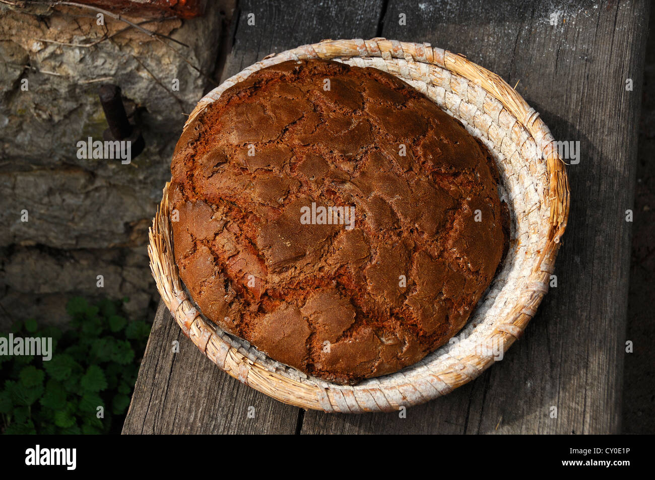 Oven-fresh, three-pound farmhouse bread, loaf, in a bread basket, Wildenfels, Upper Franconia, Bavaria Stock Photo