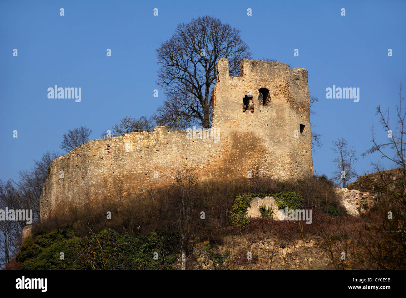 Burg Lichteneck castle ruins, 1265, Hecklingen near Kenzingen, Baden-Wuerttemberg Stock Photo