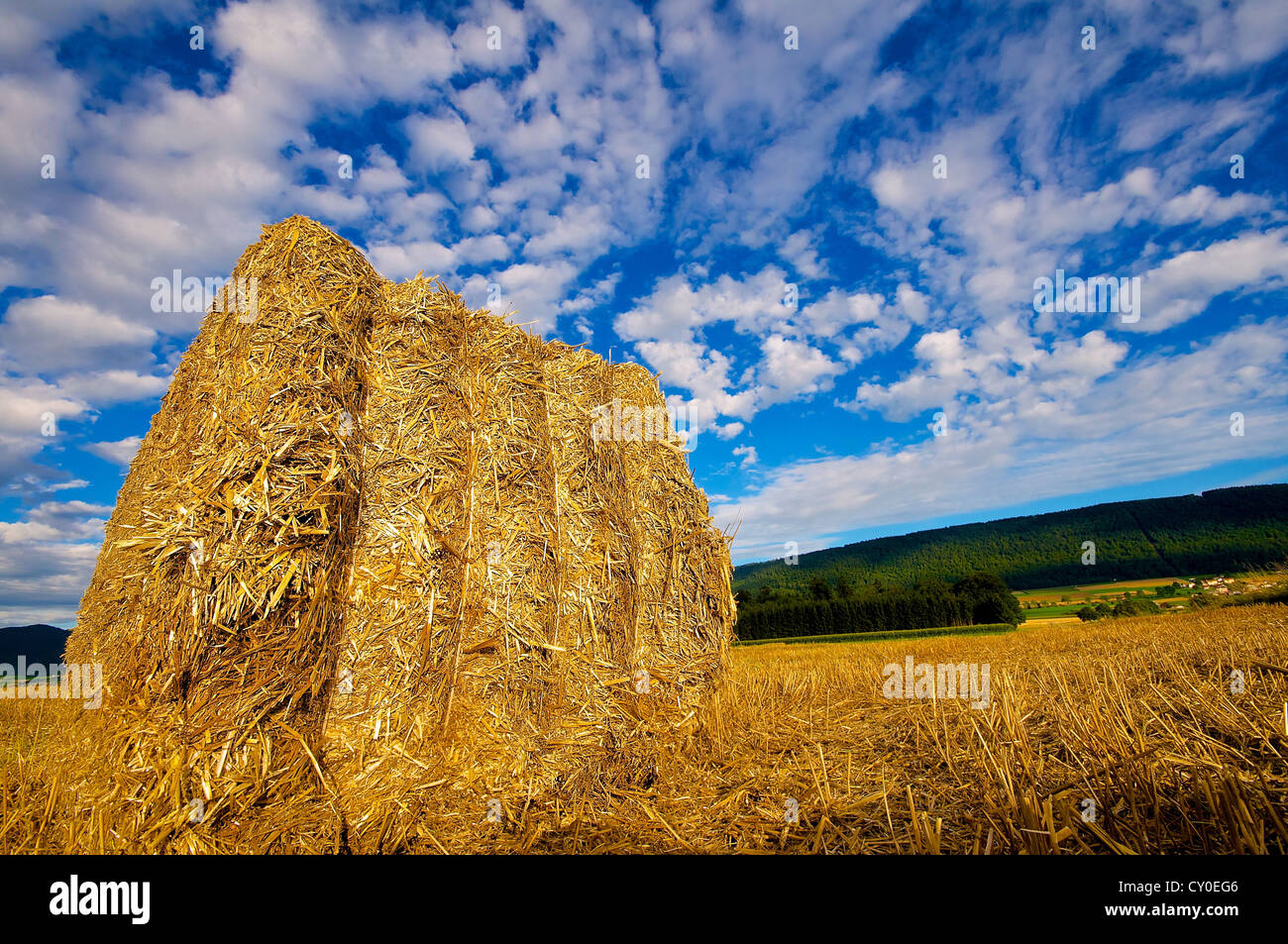 Harvested field with a hay bale in the foreground Stock Photo - Alamy
