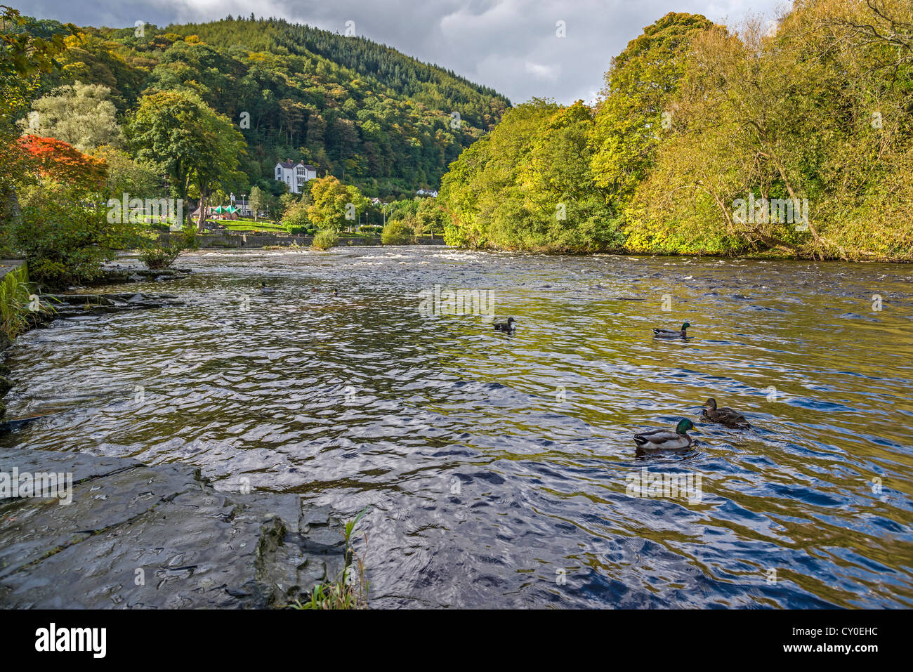 The river Dee at Llangollen in North Wales. Stock Photo