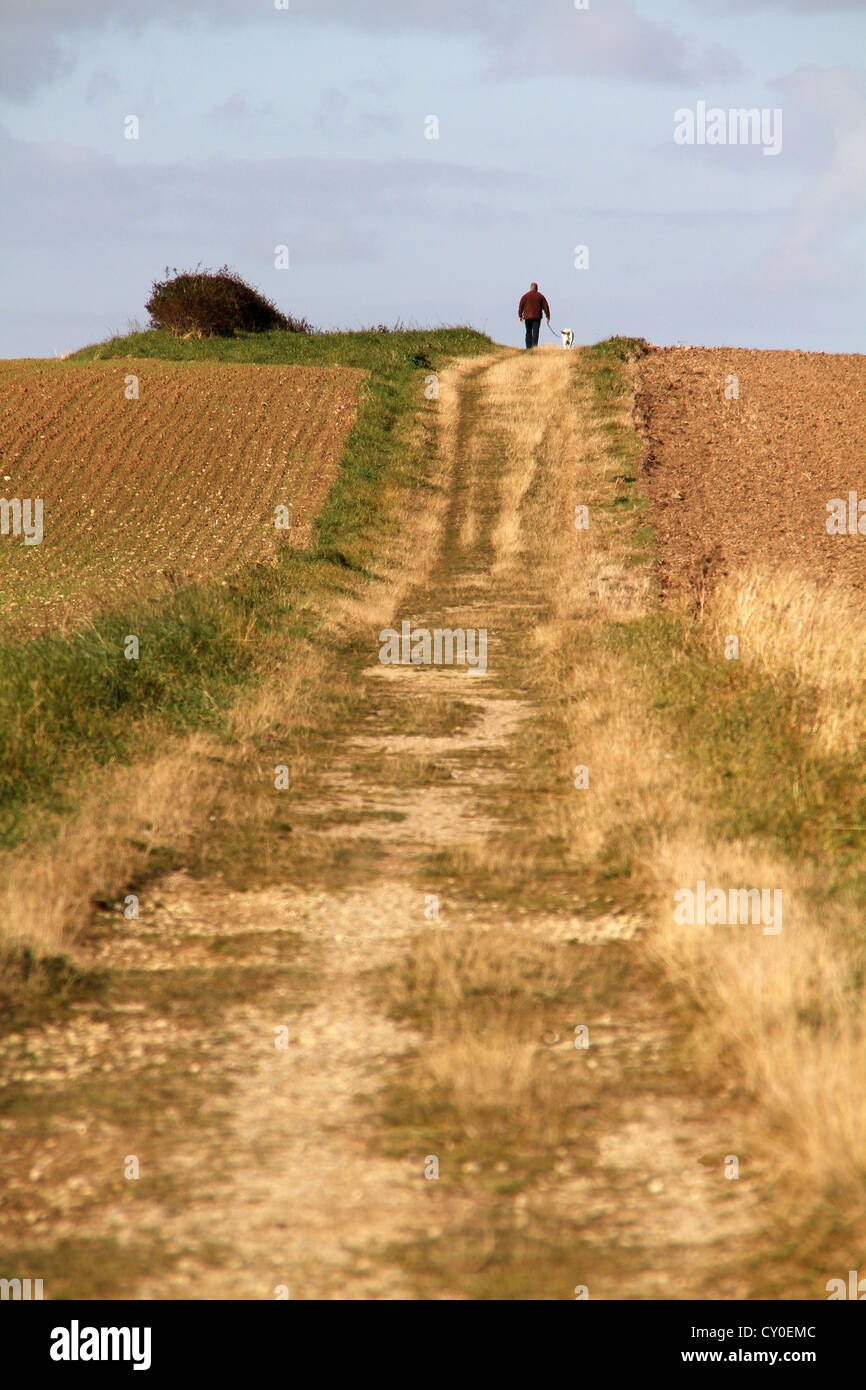 Road across farm fields near coast. Stock Photo