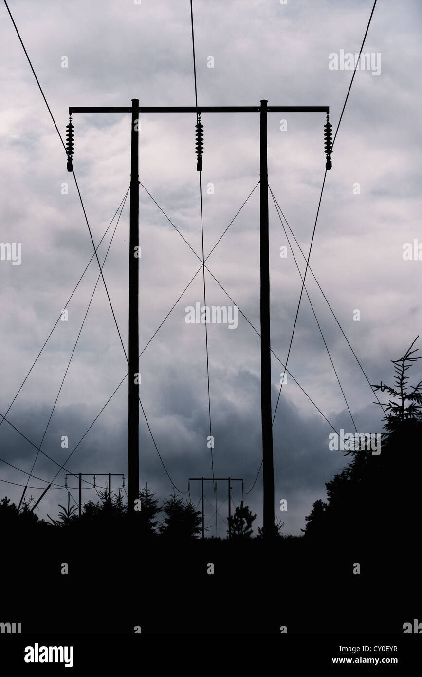 Pylons with high tension electrical wires in forest Stock Photo