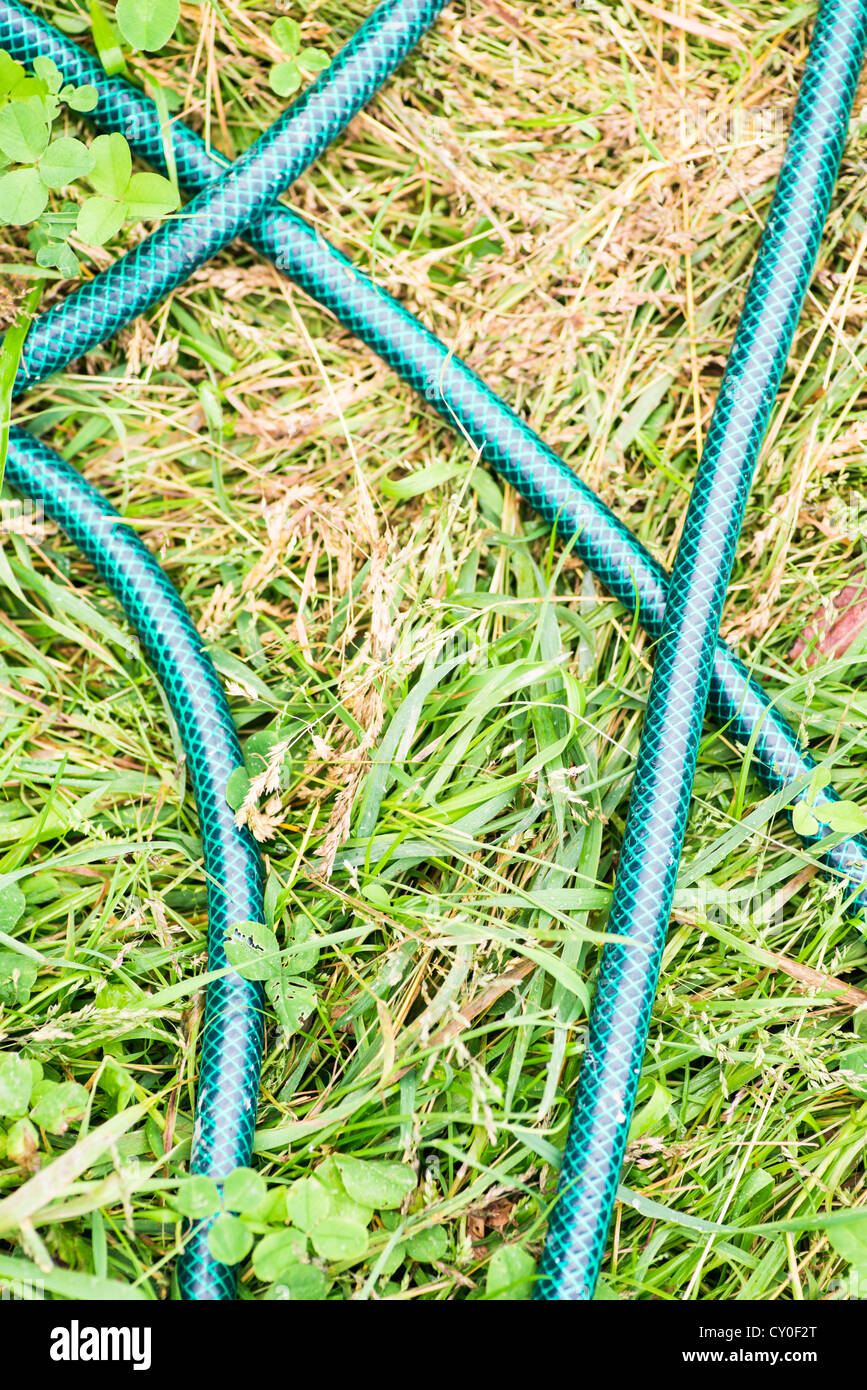 Plastic hose lying on the ground of a backyard Stock Photo