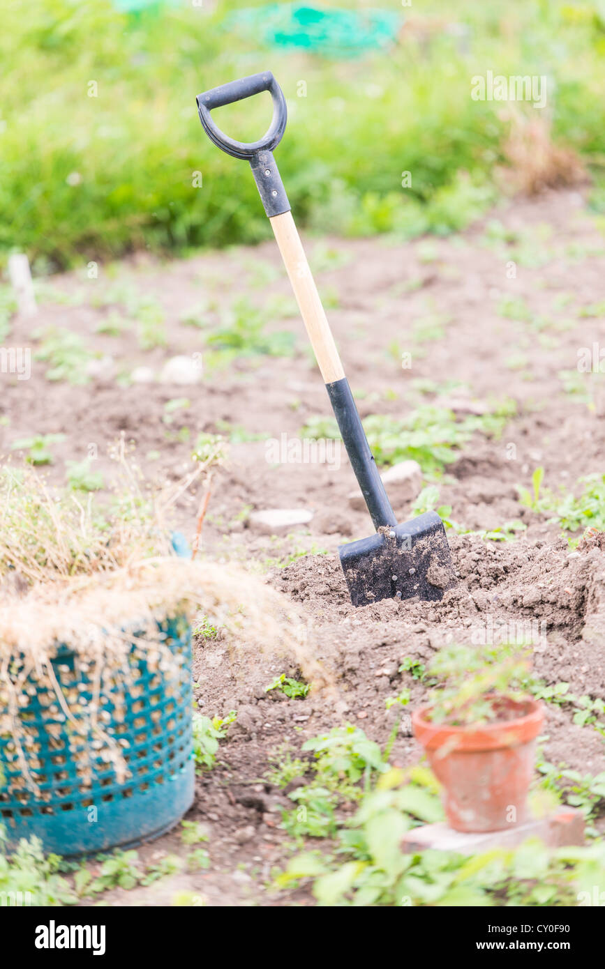 Gardening work with shovel stuck in the ground Stock Photo